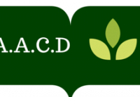 Asociatia ARAD pentru Copii Dislexici