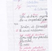 Extraordinarele întîmplări ale copiilor dislexici şi ale părinţilor lor